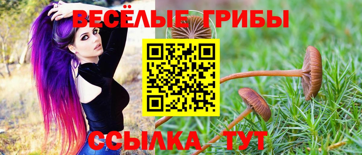Галлюциногенные грибы мицелий Барабинск